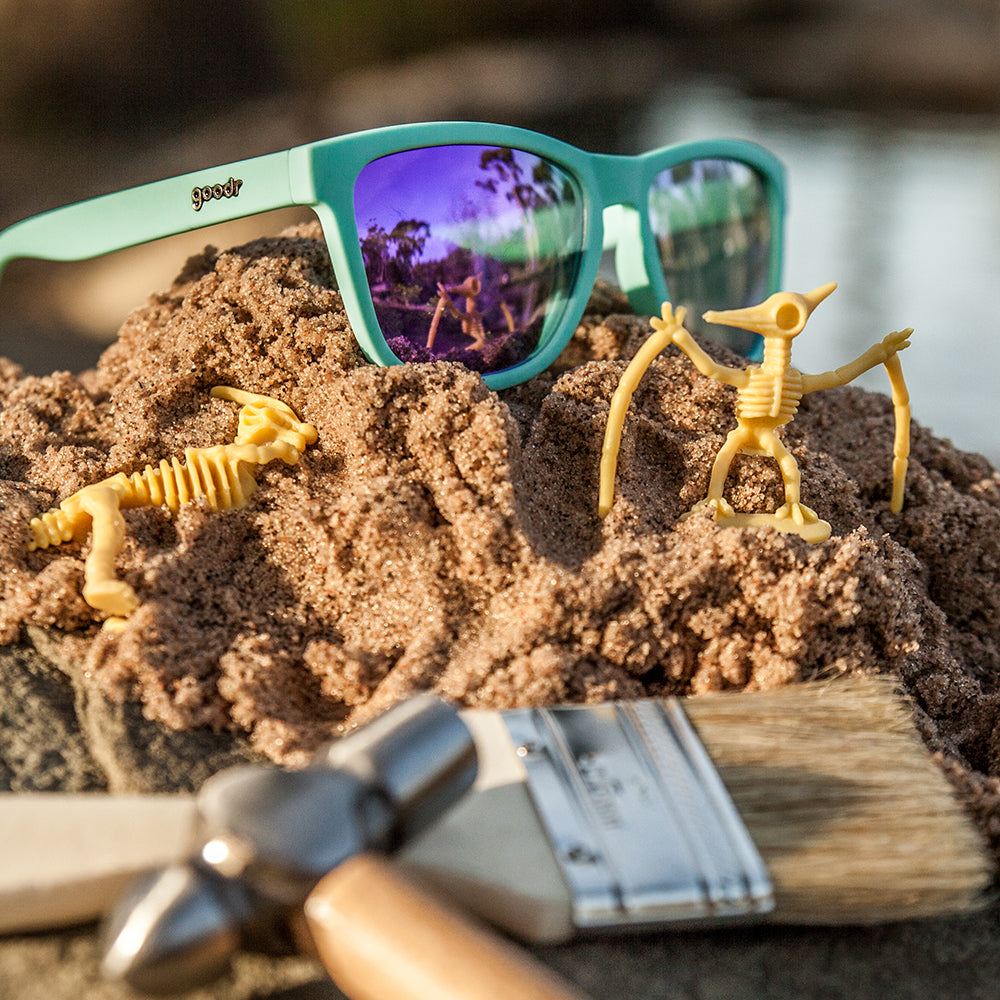 “Electric Dinotopia Carnival” Polarized Sunglasses