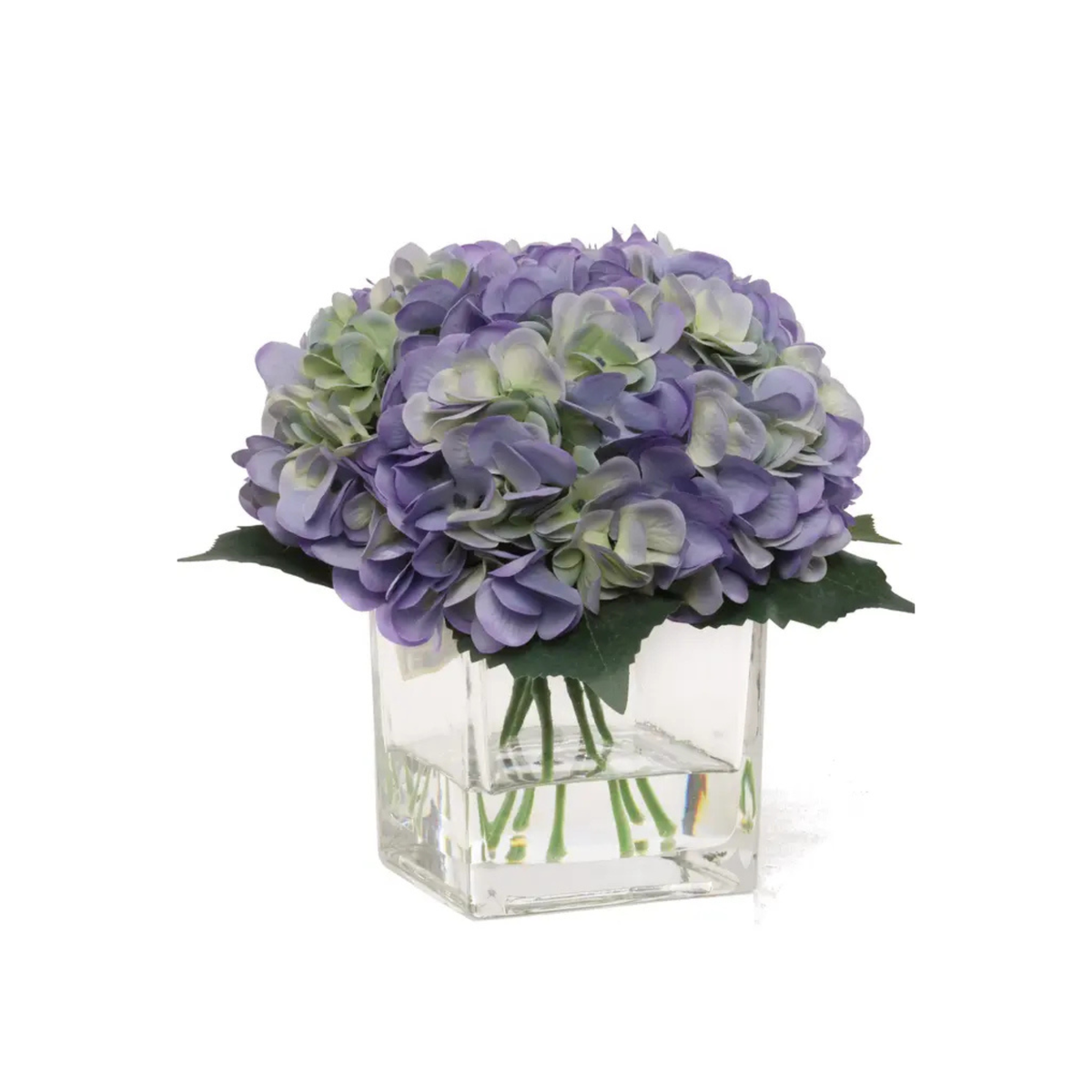 Blue Hydrangea Flowers In Glass Vase With Water Look