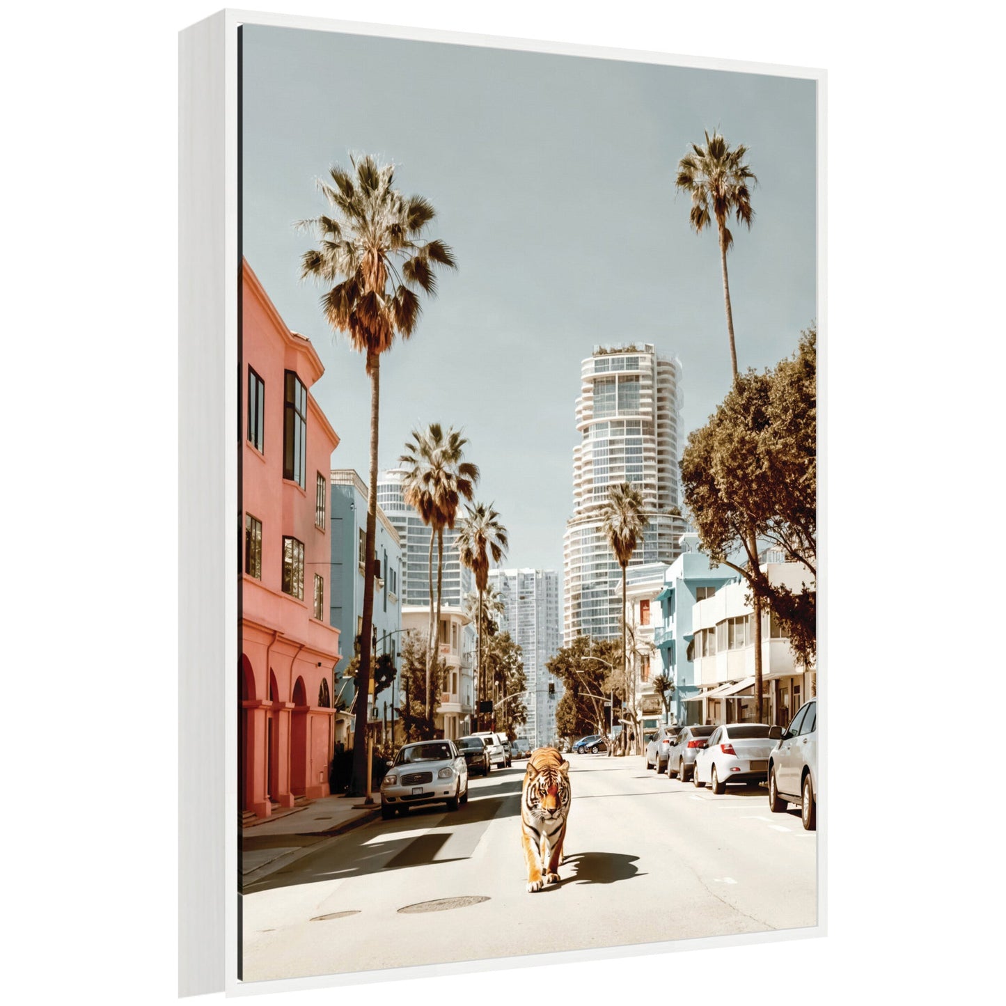 California Tiger Roaming through Palm Springs Framed Canvas by Michael Schauer