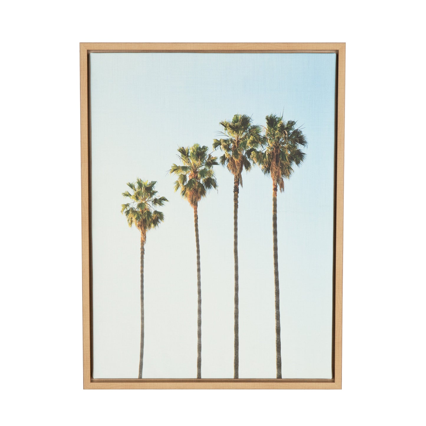 Four Palm Trees Framed Canvas