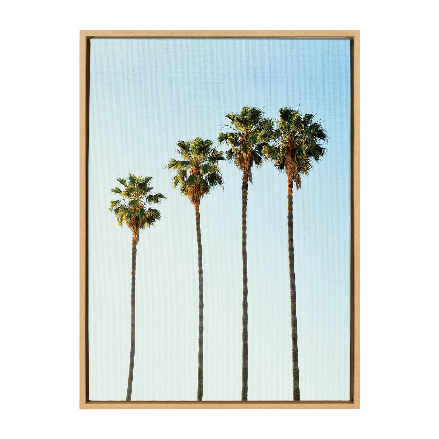 Four Palm Trees Framed Canvas